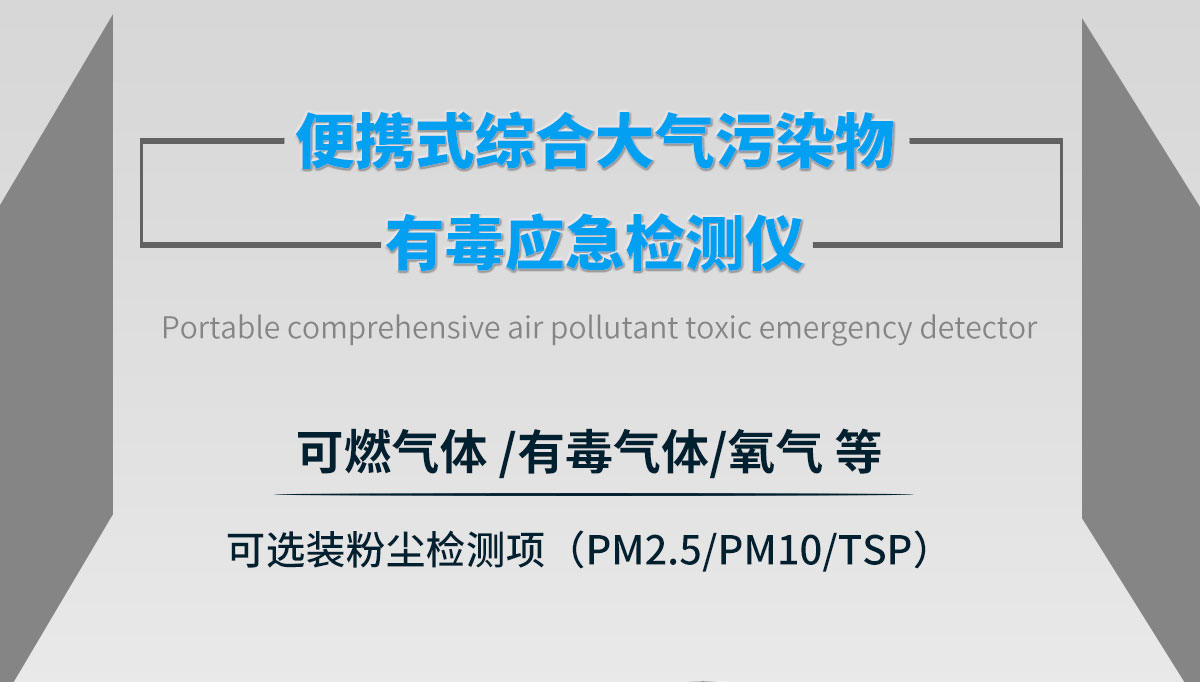 便携式声光报警气体检测仪 手提式无线传输气体检测仪