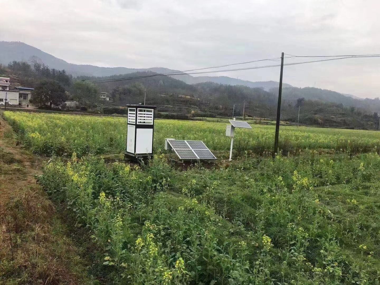 自助虫情测报灯 拍照虫情测报灯