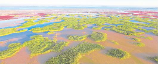 大众日报》：山东生态环境系统重点实施“十大行动” 推动黄河流域生态保护再上新台阶